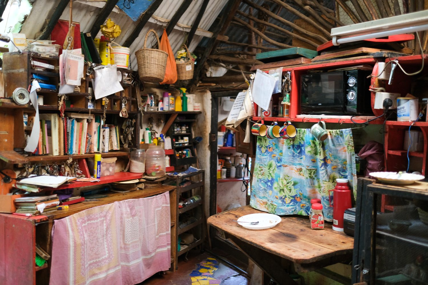 A crowded, well-used kitchen full of objects, light and colour