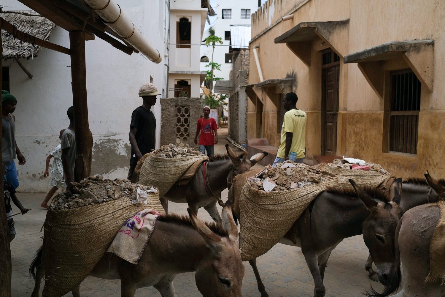 Donkeys carrying rubble through a narrow stone-town lane