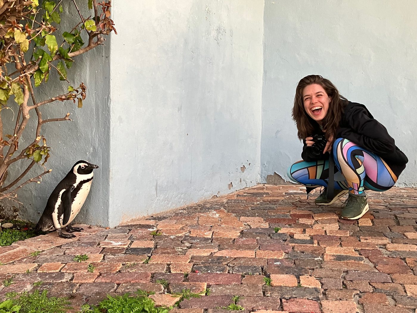 Crouching with a camera, laughing, while a penguin looks on